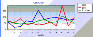 rain2013